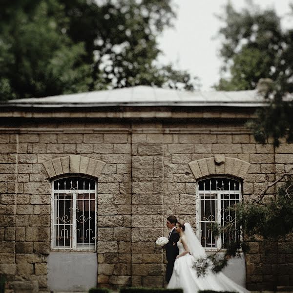 Fotógrafo de casamento Bashir Gadzhiev (bashir). Foto de 14 de fevereiro 2016