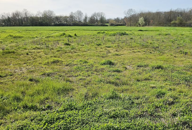  Vente Terrain + Maison - Terrain : 950m² - Maison : 183m² à Beaulieu-lès-Loches (37600) 