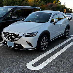 CX-3 DKEFW