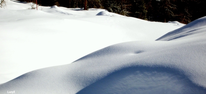 Sinuose curve di neve vergine di lulù2012