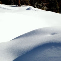 Sinuose curve di neve vergine di 