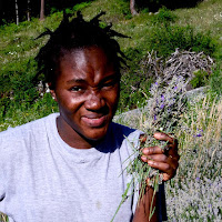 Bellezza con lavanda di 