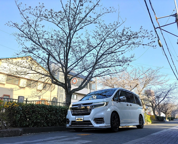 ステップワゴンスパーダの4月もよろしくお願い致します🌸・ステップワゴン・桜シーズン開幕・サクラと愛車・さくらとコラボに関するカスタム事例の投稿画像14枚目