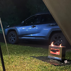 RAV4 MXAA54