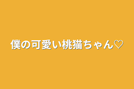 僕の可愛い桃猫ちゃん♡