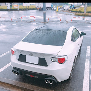 86 ZN6
