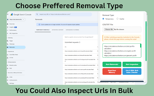 GSC Bulk URL Remover Preview 2