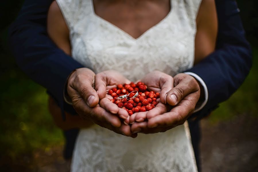 Fotógrafo de casamento Małgorzata Wojciechowska (wojciechowska). Foto de 29 de junho 2016