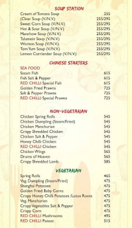 Red Chilli menu 6