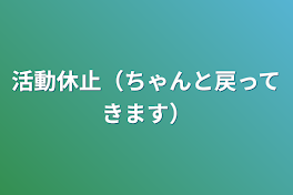 活動休止（ちゃんと戻ってきます）