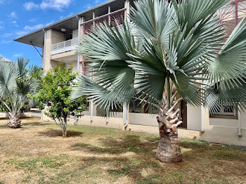 duplex à Saint gilles les hauts (974)