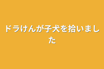 「ドラけんが子犬を拾いました」のメインビジュアル