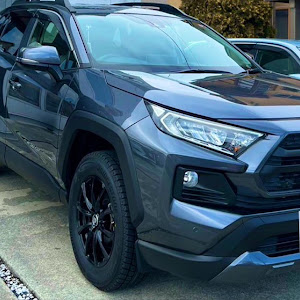 RAV4 MXAA54