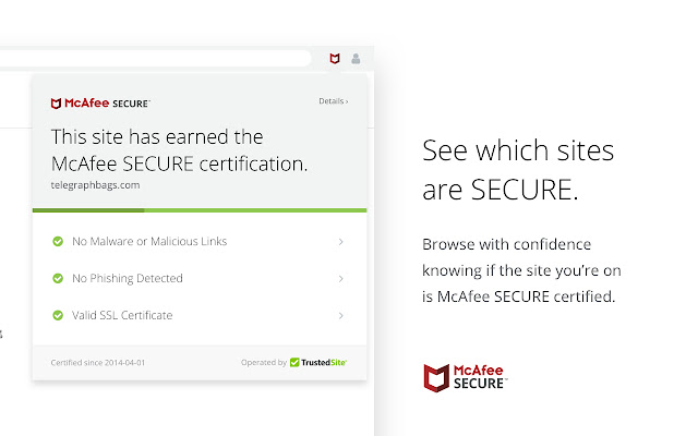 McAfee SECURE