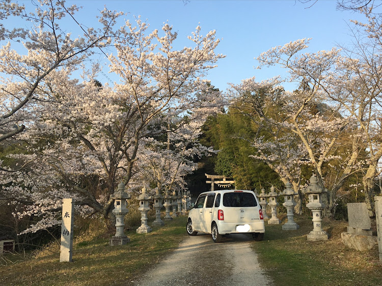 の投稿画像1枚目