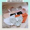 Quần Lót Nữ Đúc Su Cao Cấp Thun Lạnh Không Đường May Min Underwear 34093