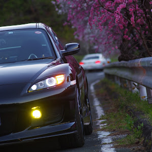 RX-8 SE3P