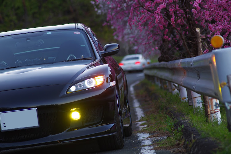 RX-8の桜と愛車に関するカスタム事例の投稿画像1枚目