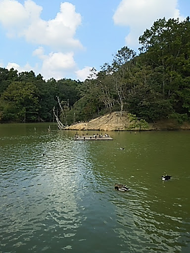 秋鹿湖畔公園