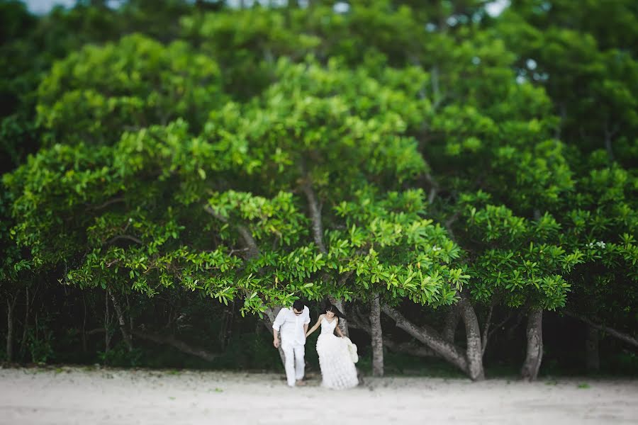 Fotografo di matrimoni Lei Liu (liulei). Foto del 19 novembre 2017