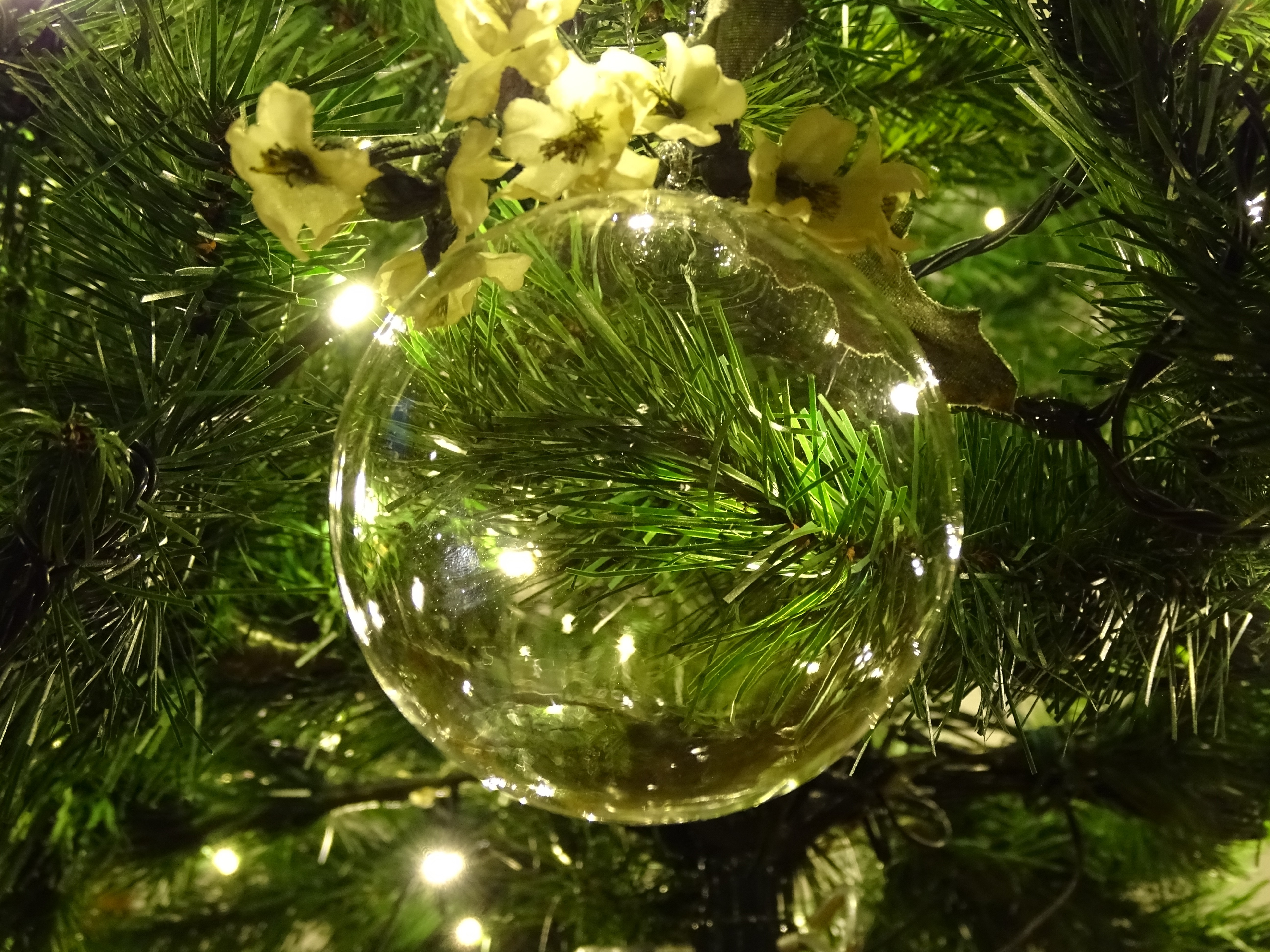 Sull'albero di Natale di dan