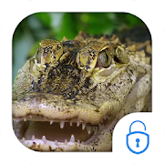 Crocodile Live Theme  Icon