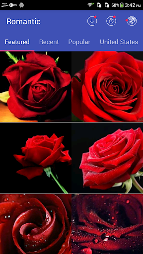 Beautiful Rose Wallpapers