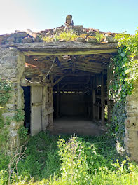 maison à Sainte-Flaive-des-Loups (85)