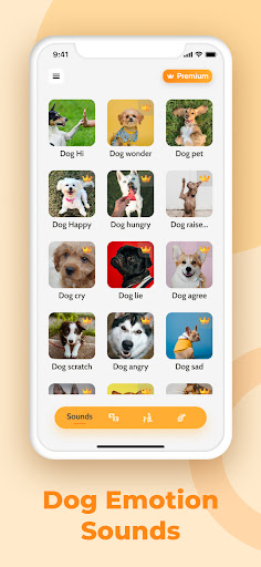 Screenshot Dog Translator: Game For Dogs