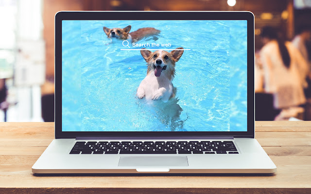 Corgis HD Wallpapers Puppy Theme