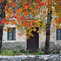 La casa nel bosco di 