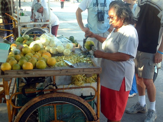 Carrettino delle arance di raffina