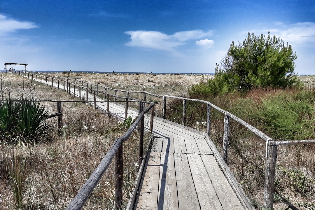 Oasi prima del mare di efferre_