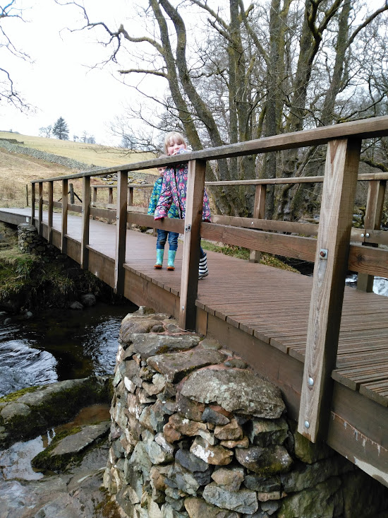 further up the hill from Aira Force