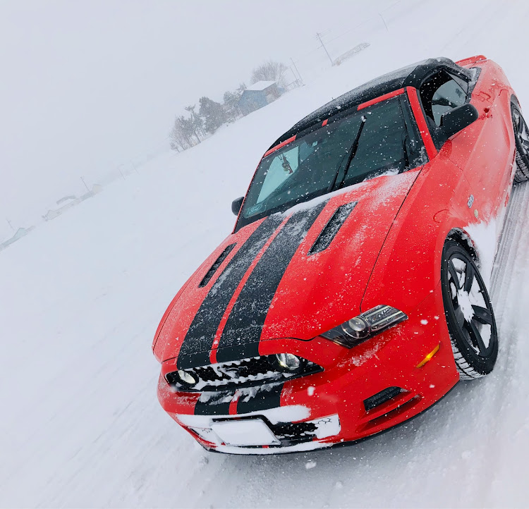 マスタングの季節外れの投稿・北海道・雪道ドライブ・お尻フリフリ・楽しいに関するカスタム事例の投稿画像1枚目
