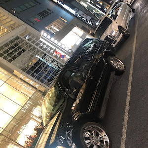 エクスカージョン