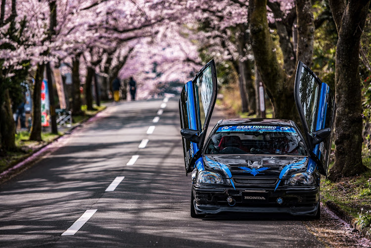 シビックの桜・桜とコラボ・サクラと愛車・あともう少し・discover＿ctに関するカスタム事例の投稿画像15枚目