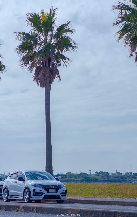 ヴェゼルの千葉フォルニア・オフ会のある風景・イカリング・袖ヶ浦海浜公園に関するカスタム事例の投稿画像20枚目
