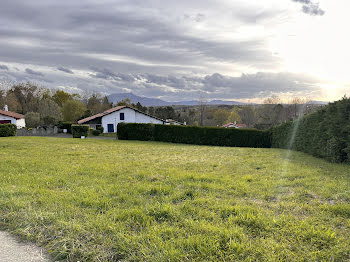 terrain à Arbonne (64)