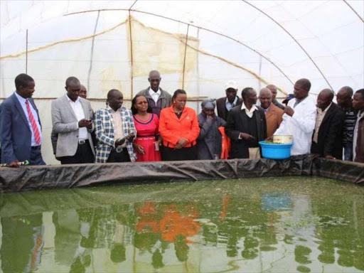 Governor for Uasin Gishu Jackson Mandago (L) during a visit at a fish farm at Kuinet near Eldoret