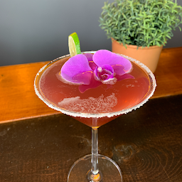 Hibiscus Margarita