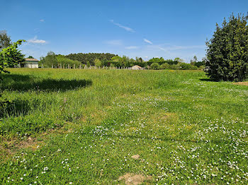 terrain à Montpon-Ménestérol (24)