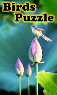 Free Download Birds Puzzle APK