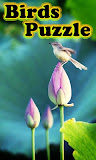 Birds Puzzle