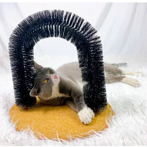 Funny Pet Massage Arch Automatic Brush Cats Toy Anti-skid Scratching Device Cat Itching Grooming Supplies