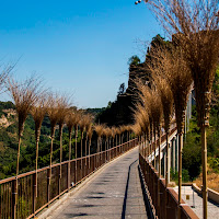 L'unica Strada di 