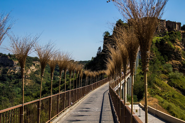 L'unica Strada di Ph. Flavio Catelani