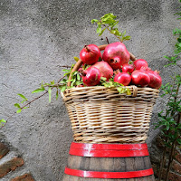 Tutto cosi perfetto.. come solo la natura può.. di 