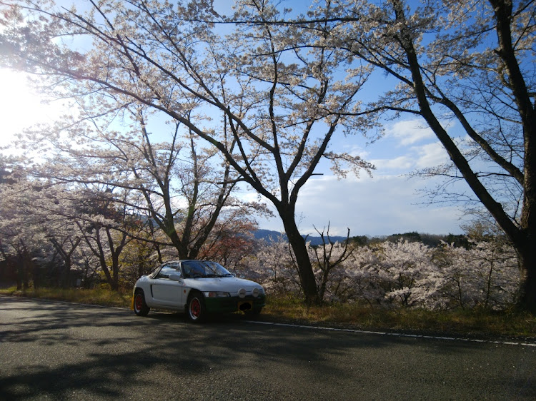 の投稿画像15枚目