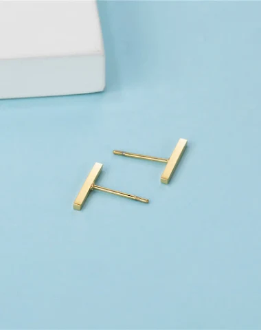 Boucles d'oreilles barre en titane - 2